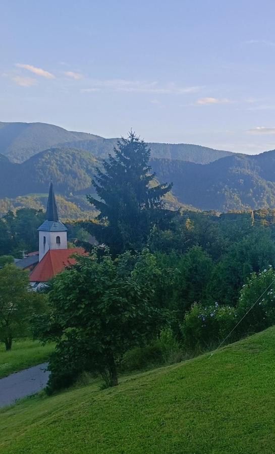 Apartmaji Borstner Vransko 外观 照片