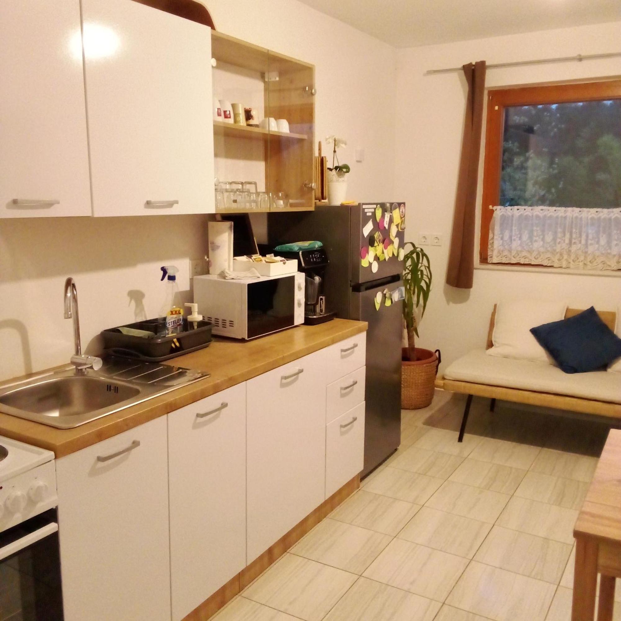 Apartmaji Borstner Vransko 外观 照片